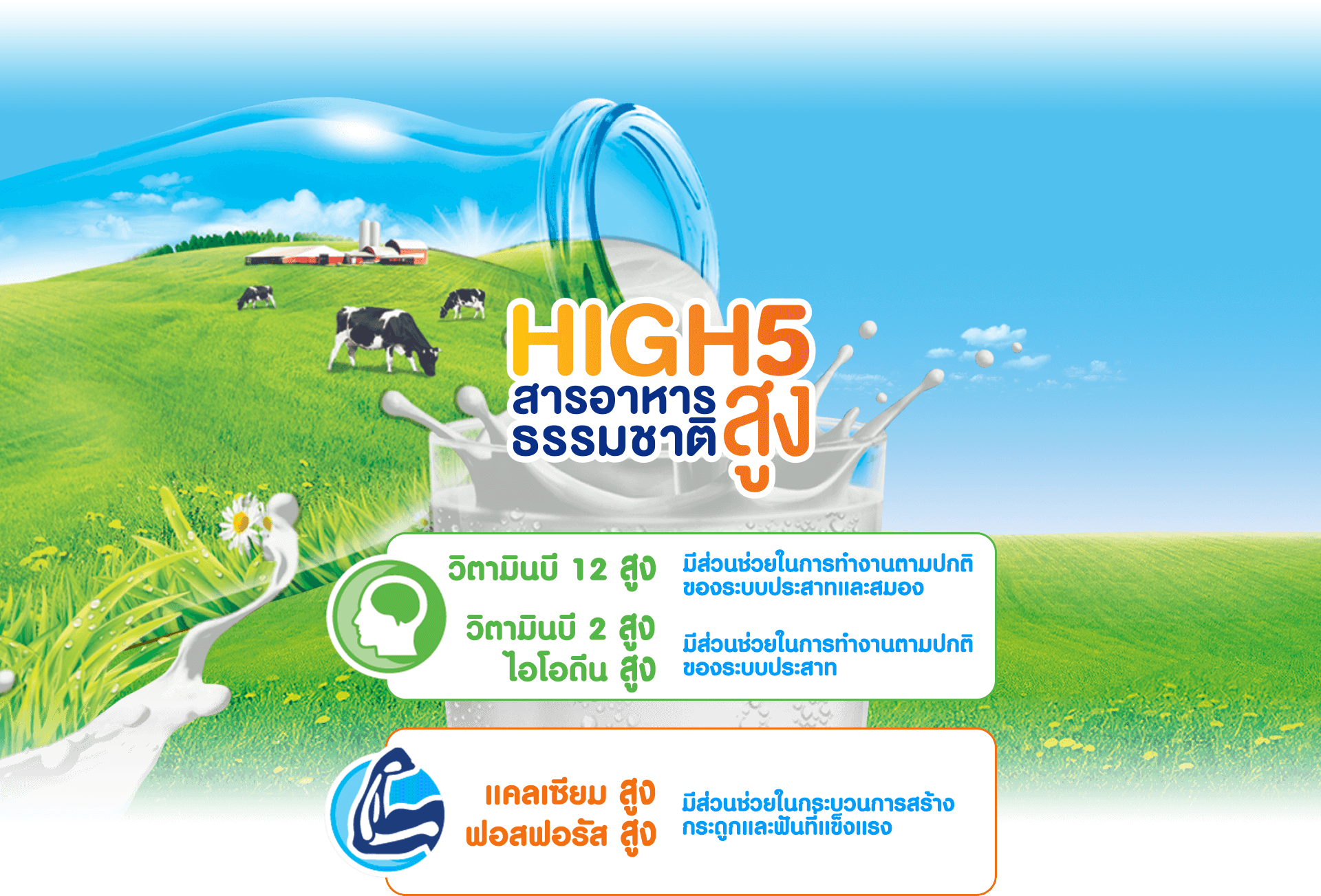 สารอาหารธรรมชาติ HIGH5 สูง