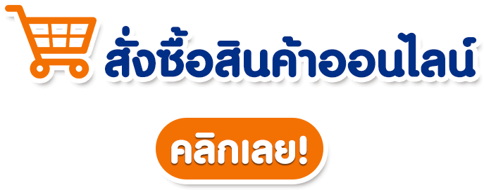 สั่งซื้อสินค้าออนไลน์