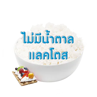 No lactose