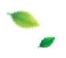 leaf left
