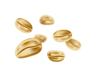 oat