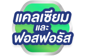 แคลเซียมและฟอสฟอรัส