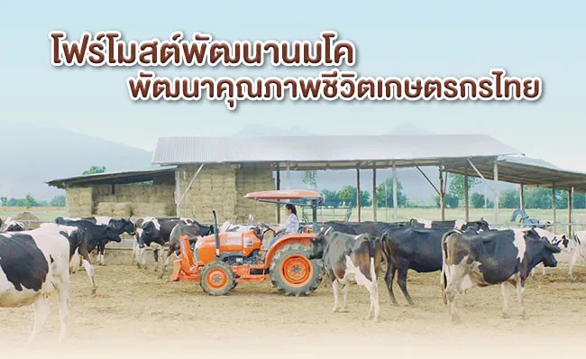 สารอาหารนมโคแท้คุณภาพ