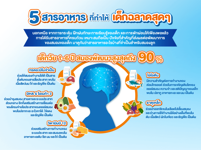 5 สารอาหารบำรุงสมองเด็ก ลูกยิ่งกิน ยิ่งฉลาด - Foremost Thailand