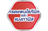 กรดแพนโทธินิคและแมงกานีส