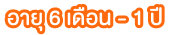 อายุ 6 เดือน - 1 ปี