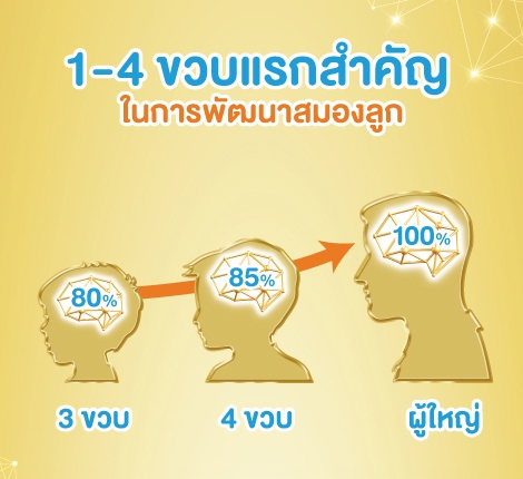 การพัฒนาสมองของลูกช่วง 1-4 ขวบ