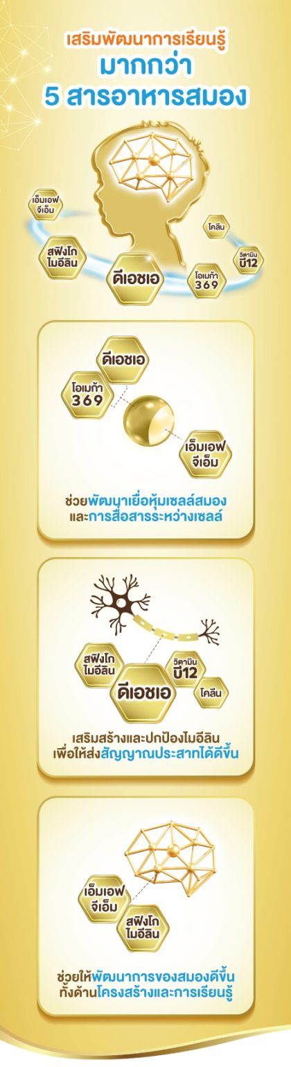 สารอาหารสมอง เสริมพัฒนาการเรียนรู้