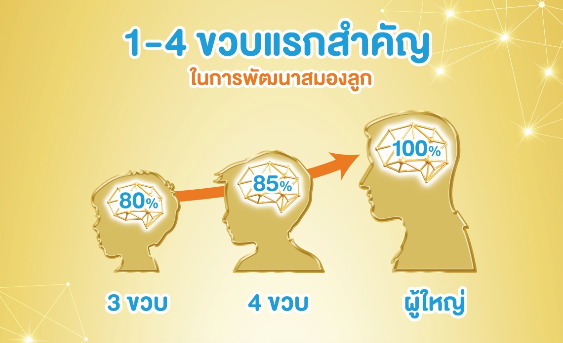 การพัฒนาสมองของลูกช่วง 1-4 ขวบ