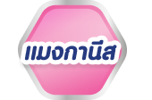 แมงกานีส