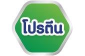 โปรตีน 