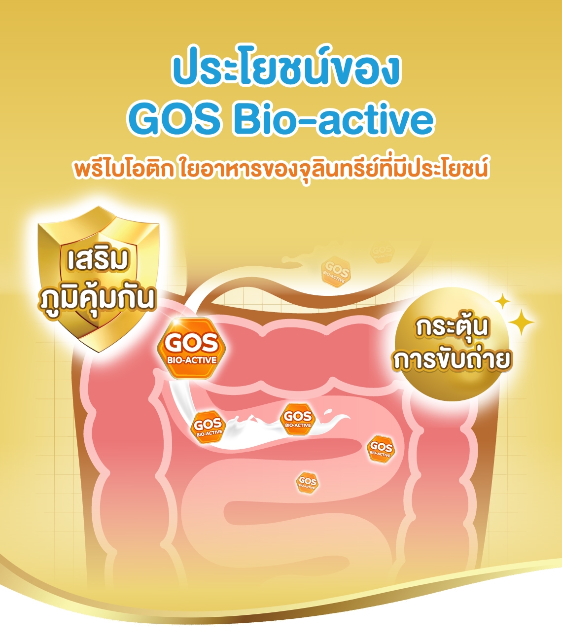 ประโยชน์ของ GOS Bio-active