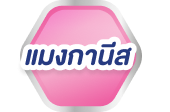 แมงกานีส