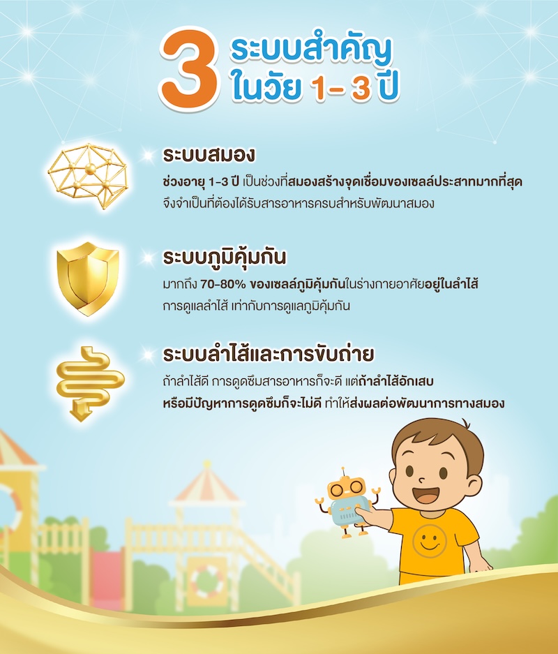 3 ระบบสำคัญในวัย 1-3 ปี
