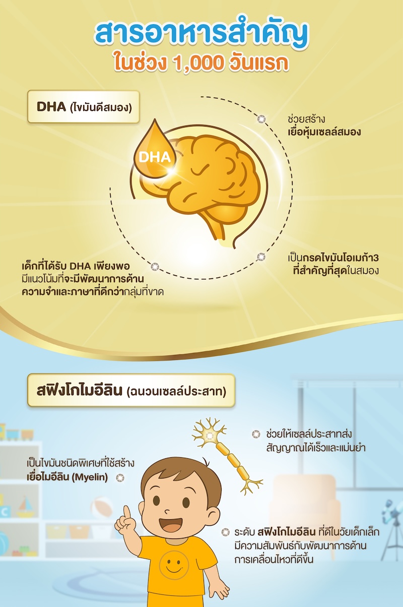 สารอาหารสำคัญในช่วง 1000 วันแรก