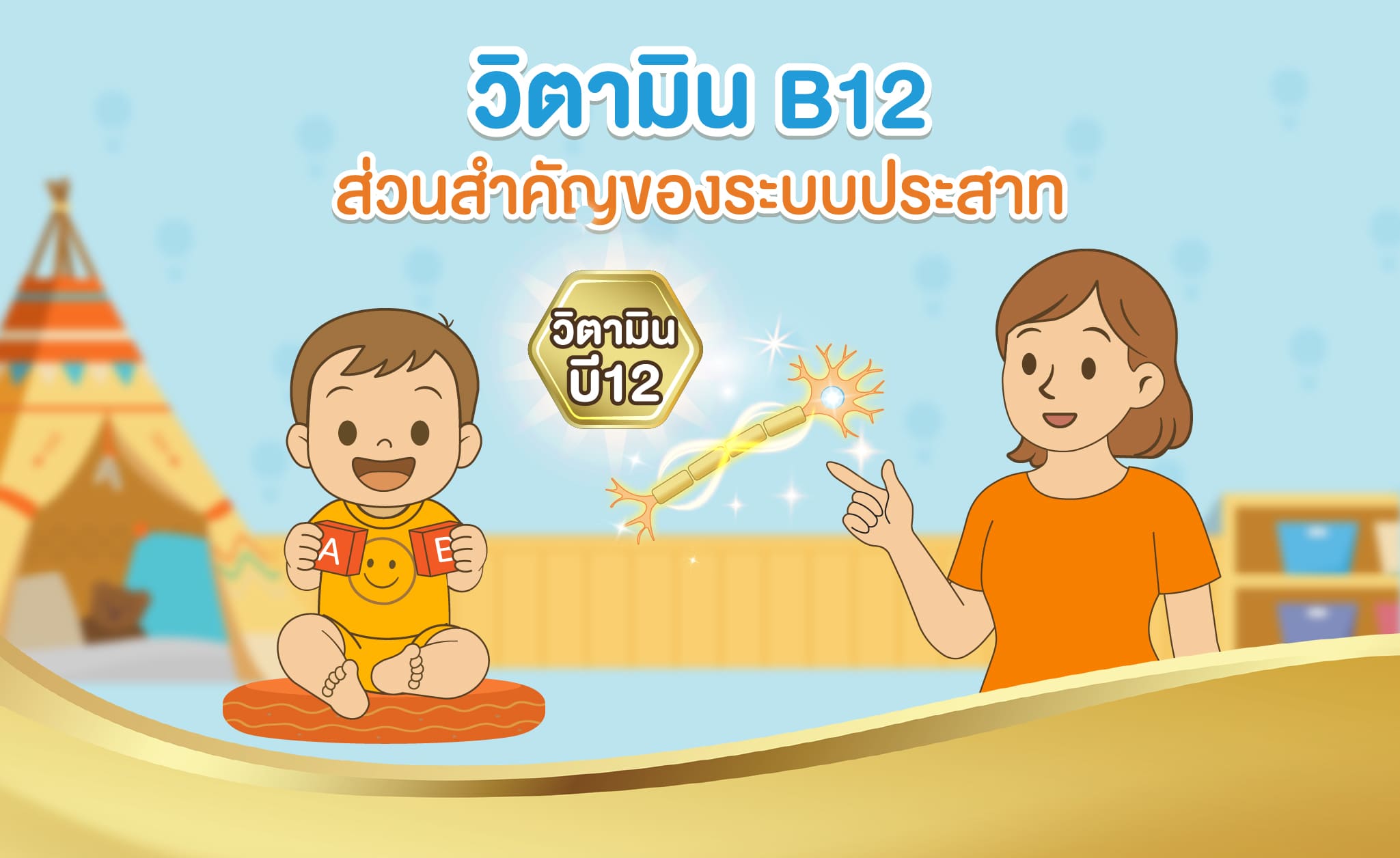 Vitamin B12 is an important component of the nervous system.