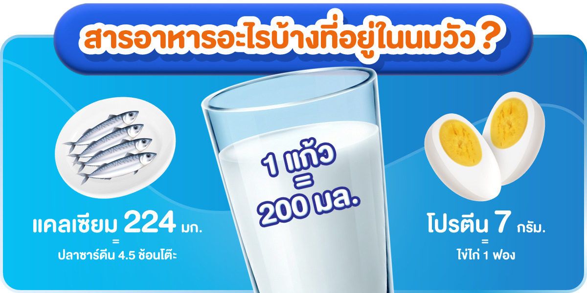 สารอาหารอะไรบ้างที่อยู่ในนมวัว