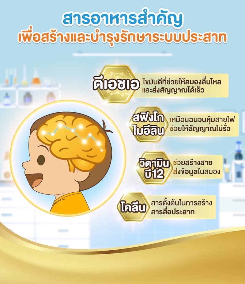 สารอาหารสำคัญเพื่อสร้างและบำรุงรักษาระบบประสาท