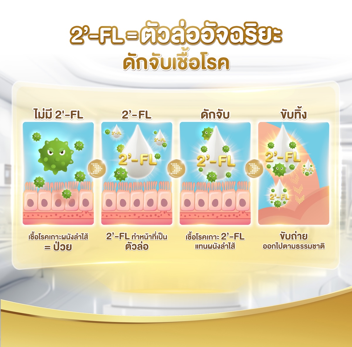 2'-FL=ตัวล่ออัจฉริยะ ดักจับเชื้อโรค