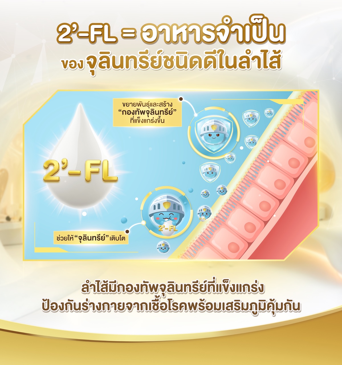 2'-FL = อาหารจำเป็นของจุลินทรีย์ชนิดดีในลำไส้
