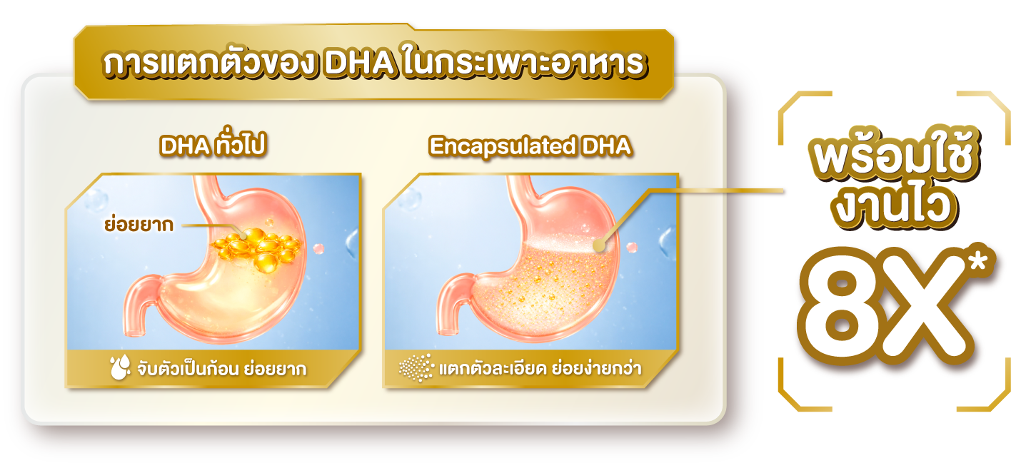 การแตกตัวของ DHA ในกระเพาะอาหาร