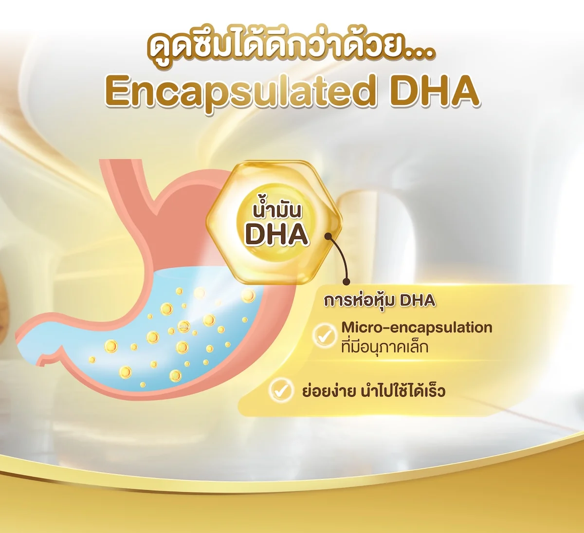 ดูดซึมได้ดีกว่าด้วย Encapsulated DHA